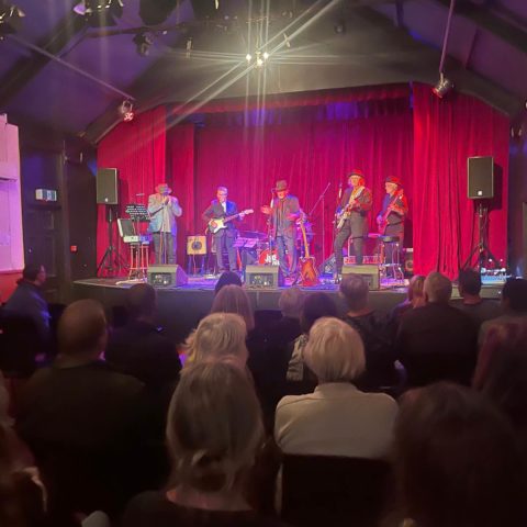 musicians on stage at nelson Fringe festival